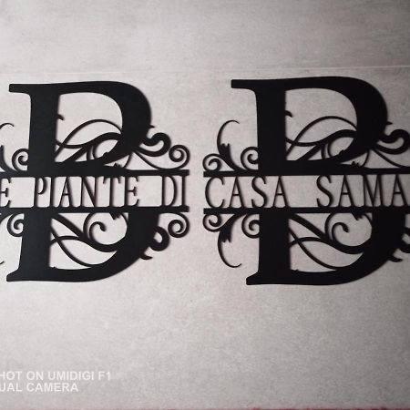 Le Piante Di Casa Samar Castelguelfo Exterior foto